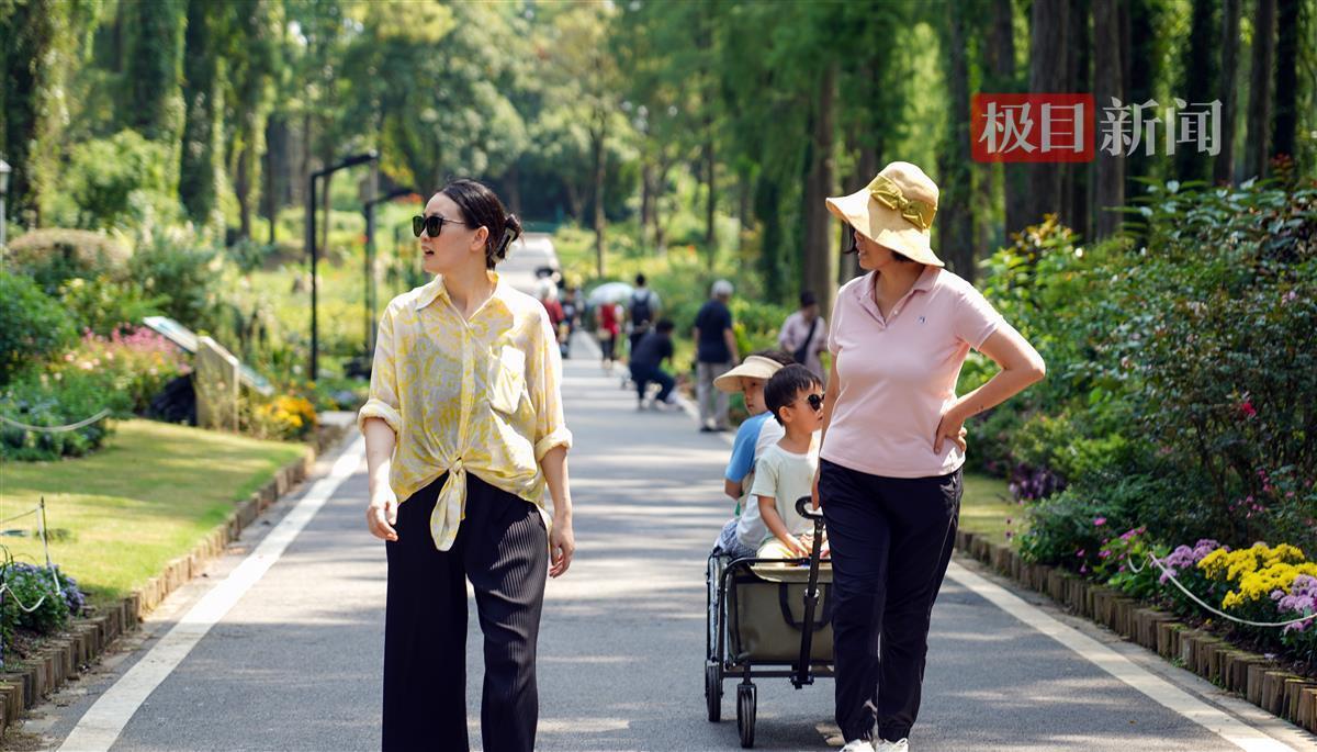 新甫京娱乐场官网